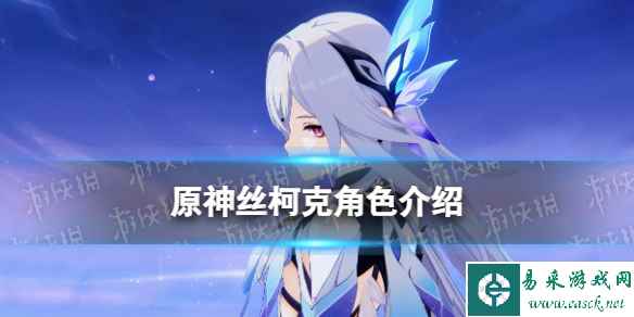 网1