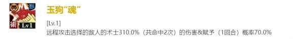 网6
