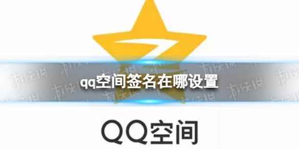 网1