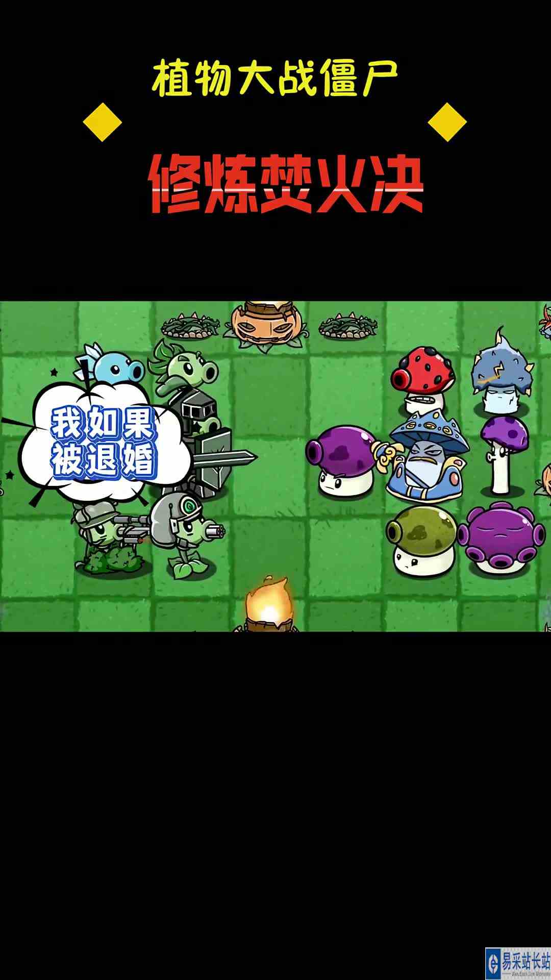 小豌豆能否成功修炼焚火绝，一雪前耻？