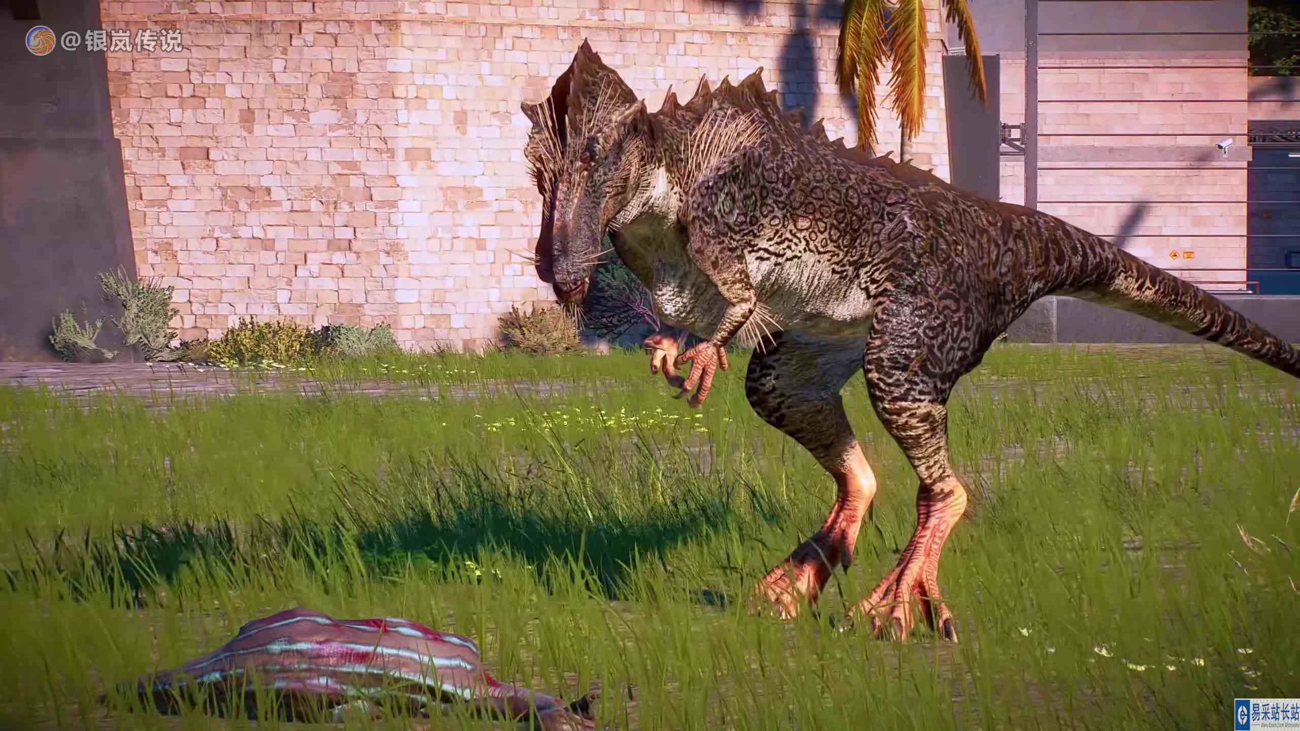 霸王龙（恐龙星球） VS “外星”虔州龙 ~ 侏罗纪世界进化 #游戏新星扶持计划 