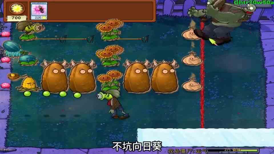 植物大战僵尸：高坚果，报告前方一切正常