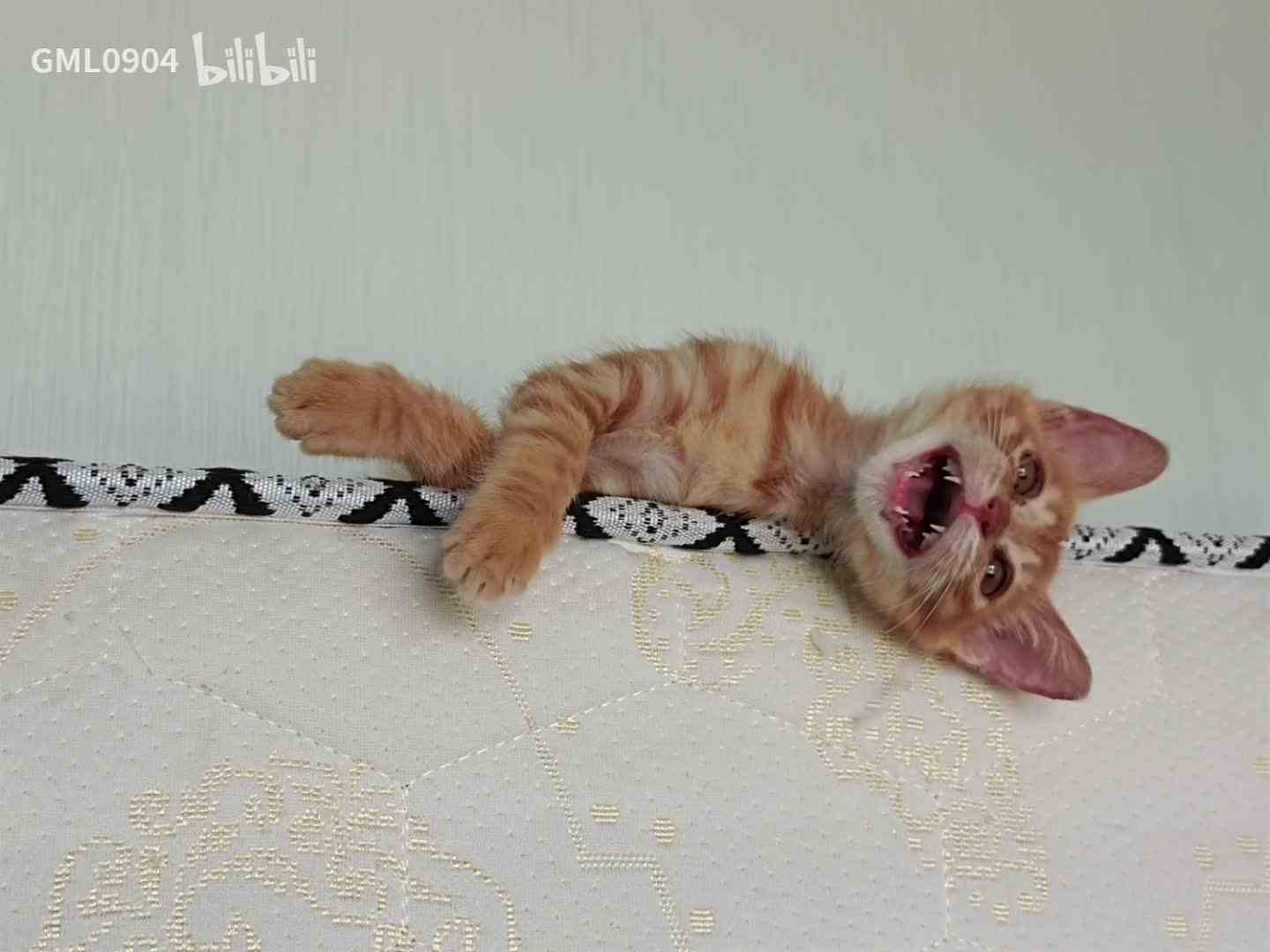 【GML0904】我的最新作品，快来一睹为快！