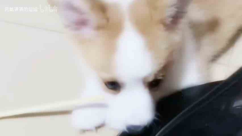 ee你看我的眼神清澈吗