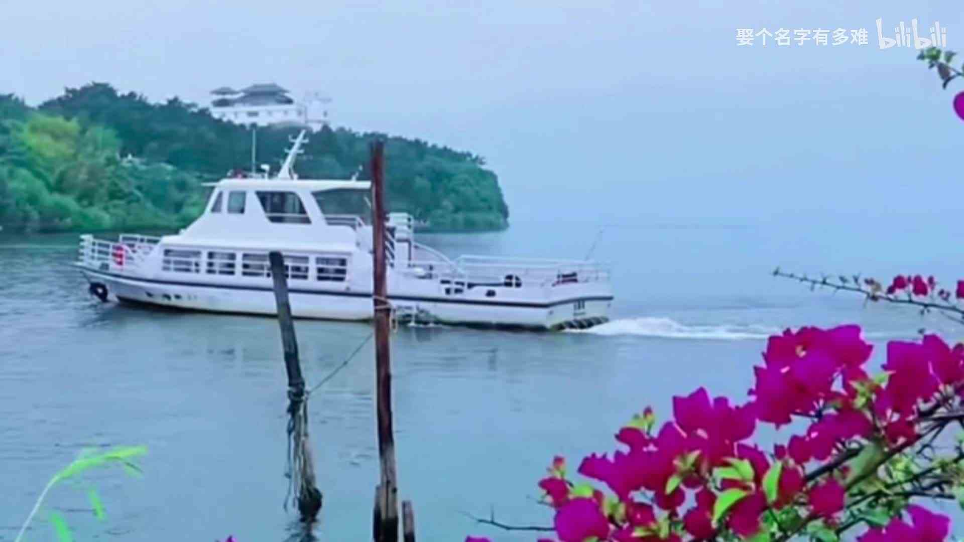 动物变装派对限定打