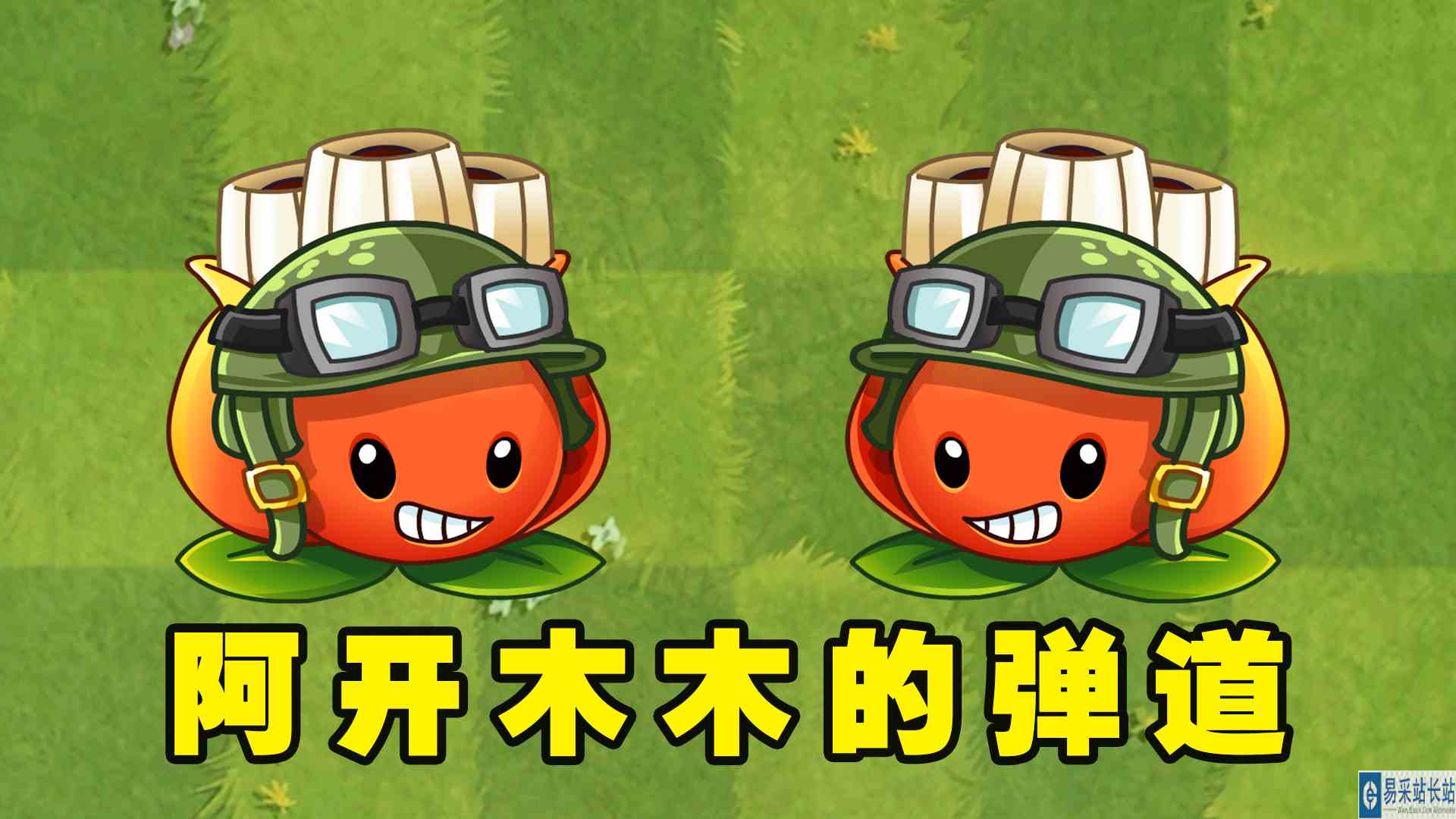 身为蓝卡植物的阿开木木，1\-5阶都什么附加能力？