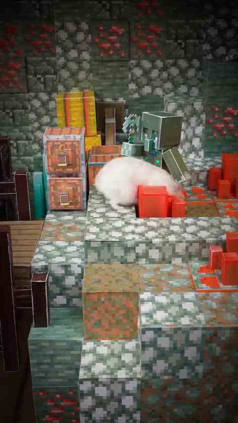 【垂直视频】仓鼠在我的世界地下城冒险 \-红石矿山 系列2  Homura Ham