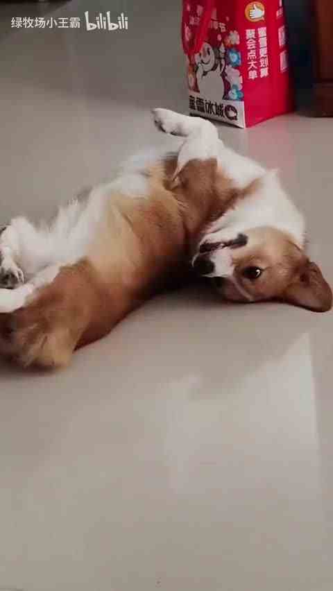 【绿牧场小王霸】视频加载中，速速查收惊喜！