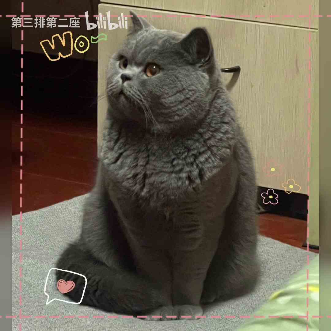 【第三排第二座】新作上线，快来看看！