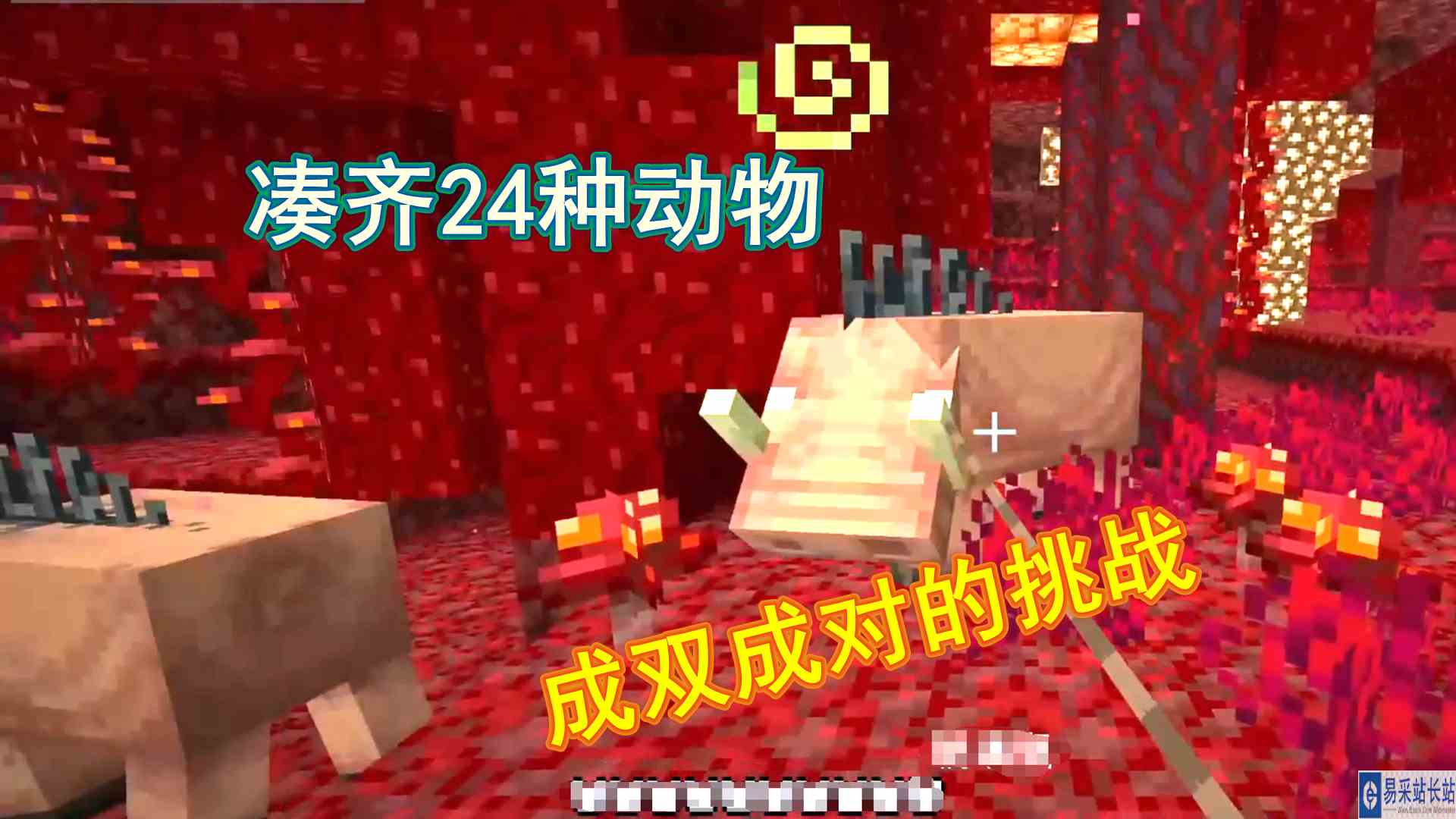 我的世界1.20联机216：搞定24种动物，取得成双成对的成就