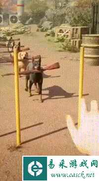 胖次质量不好都给磨没了 动图 给一群看热闹的吓傻了