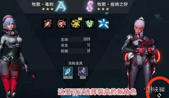网5