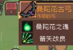 网6