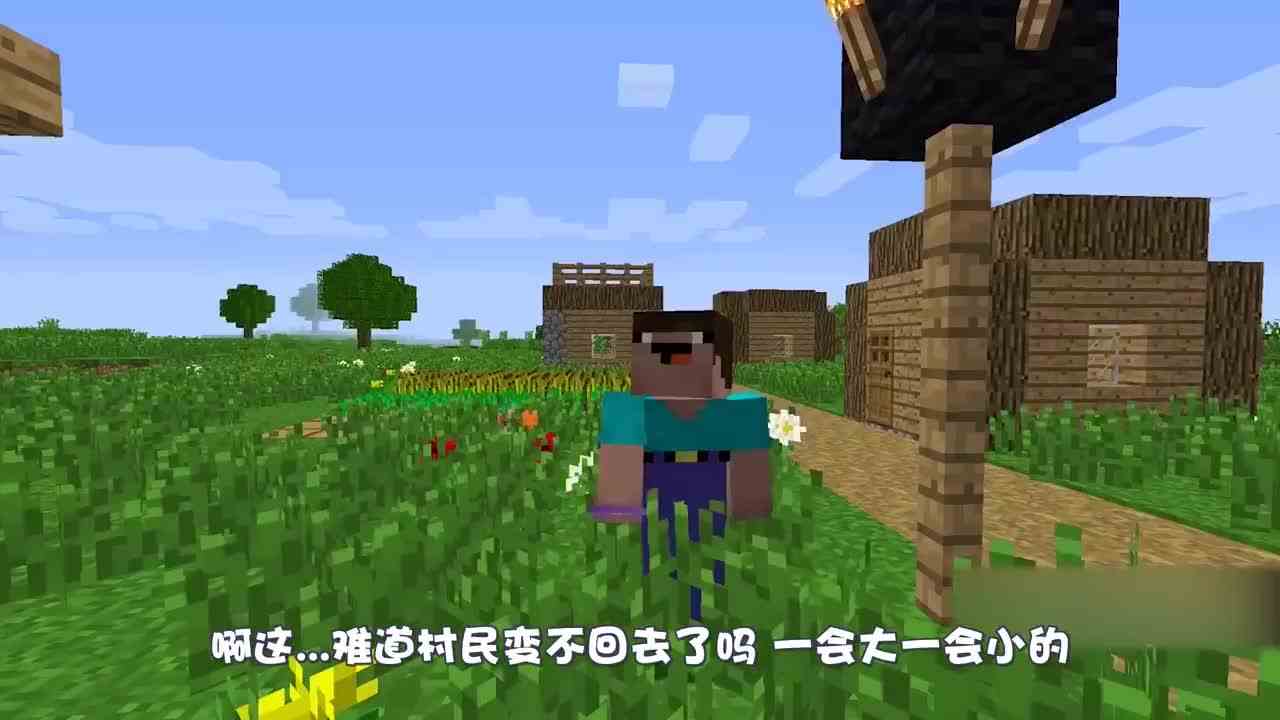 我的世界：巨大的钻石箱里究竟有啥？竟能让阿呆朝思暮想弄到手！