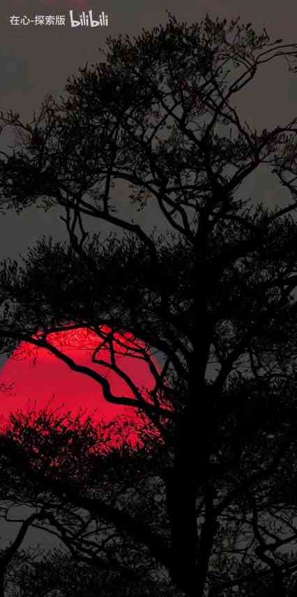 【在心\-探索版】新作上线，快来看看！