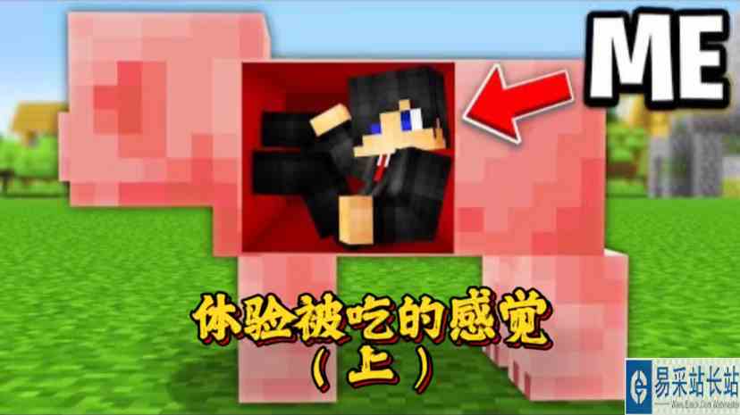 我的世界：体验被MC中的所有怪物吃一遍！