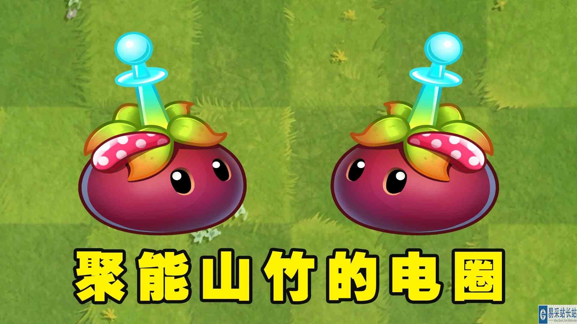 植物大战僵尸2：为爱发电的聚能山竹，1至5阶都有哪些聚变？