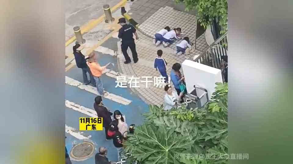 谁能告诉我，这3名小学生是在干嘛？