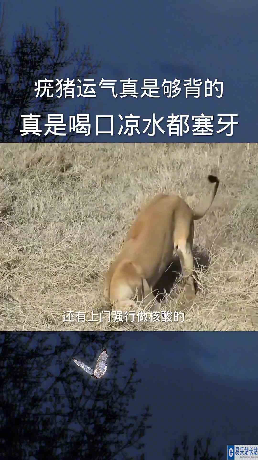 作品更新，属于娱乐，希望大家多多支持