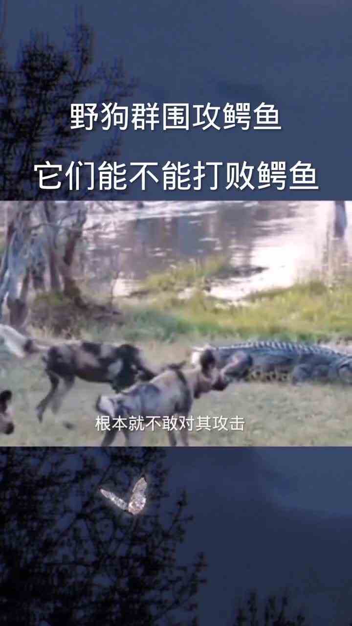 作品属于娱乐，希望大家哈哈一笑