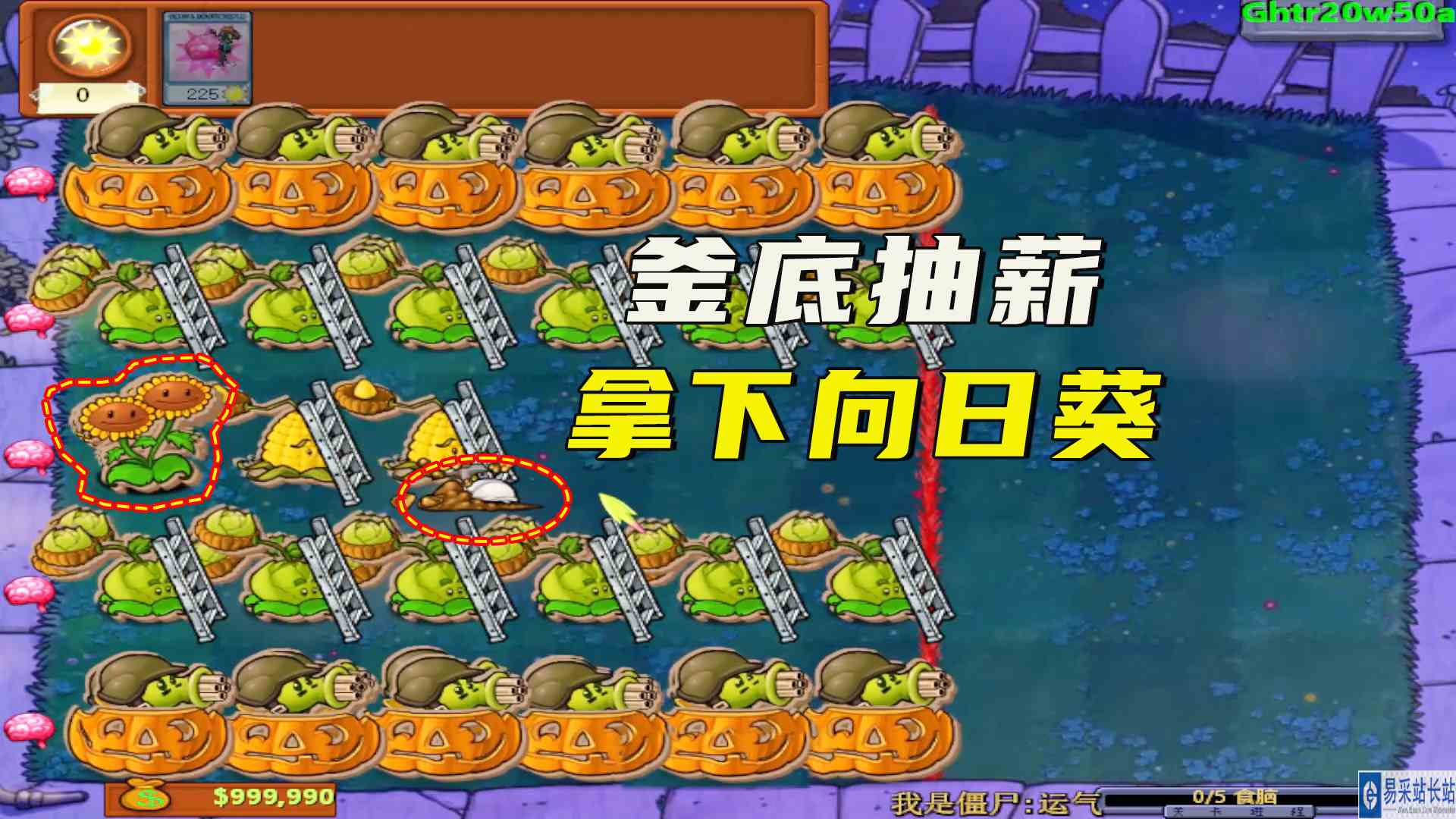 植物大战僵尸：敌方火力全开，一招釜底抽薪拿下后排向日葵