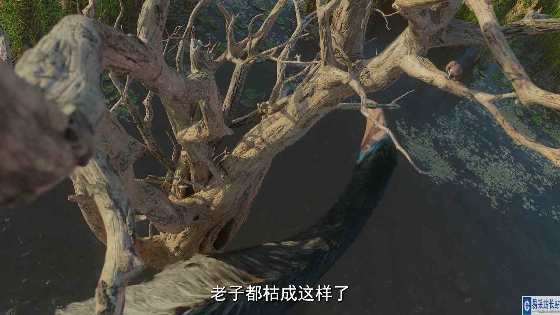 急需一把痒痒挠的恐手龙的迷惑行为 解说 #恐龙世界