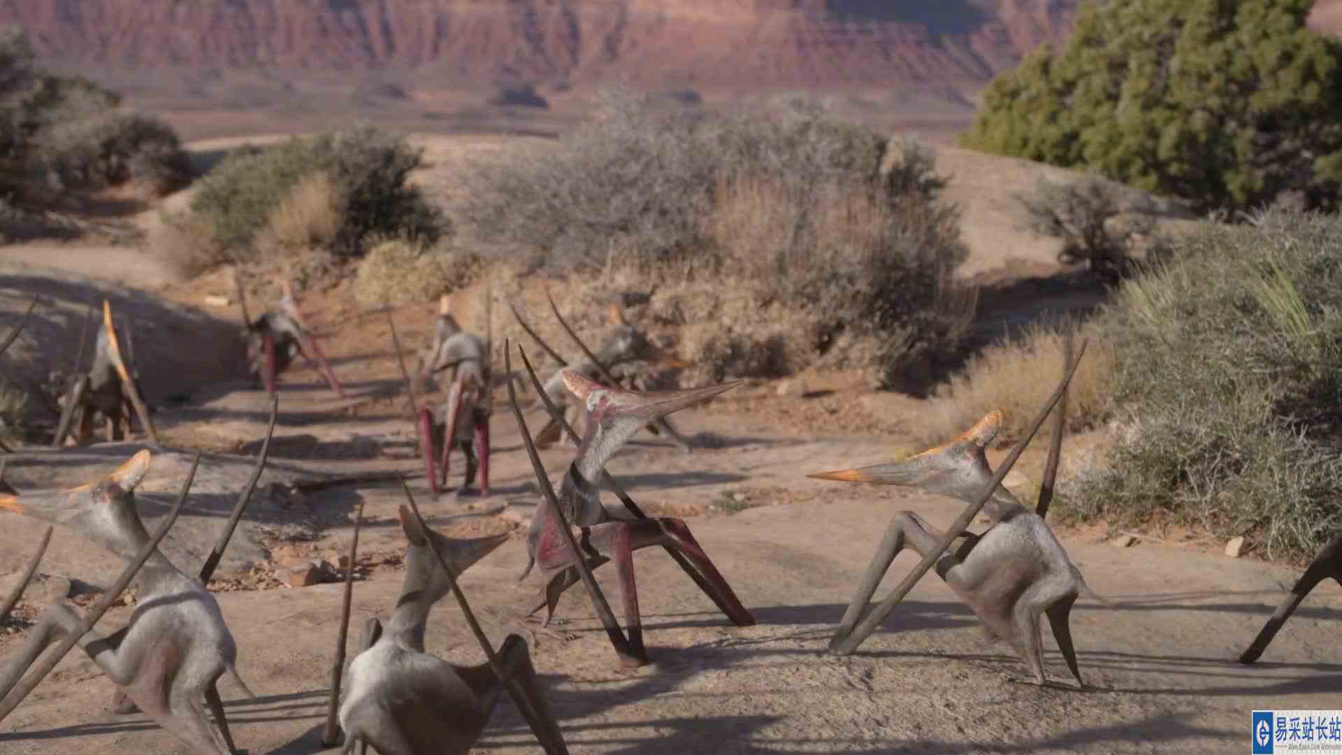 远古时期竟然也有女装大佬的迷惑行为 解说 #恐龙