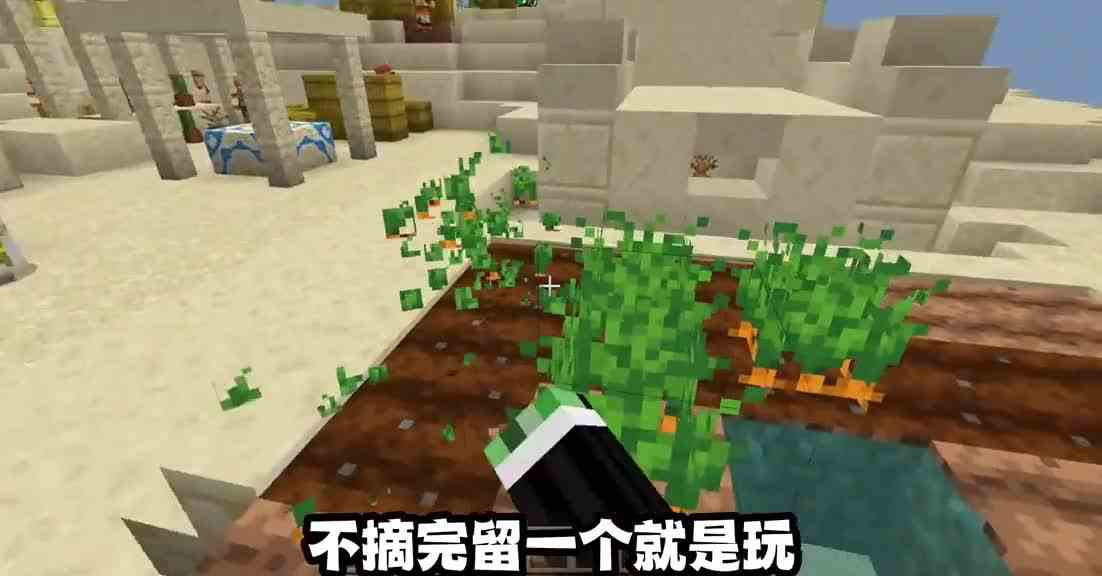 我的世界强迫症不要进来看