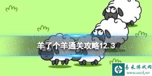 网1