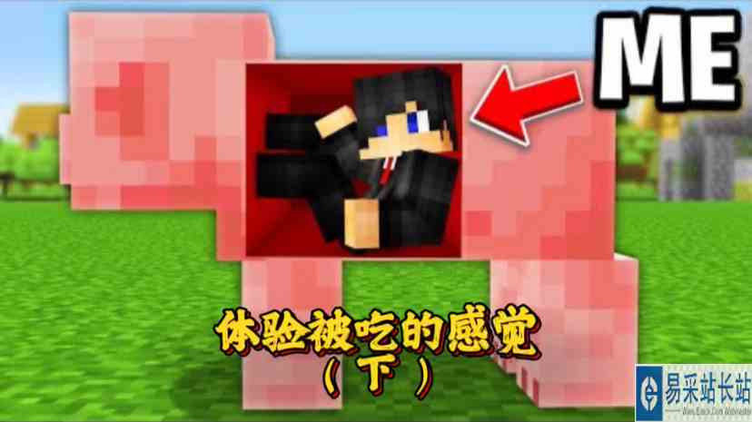 我的世界：一不小心被末影龙吃掉了，要如何逃出来？