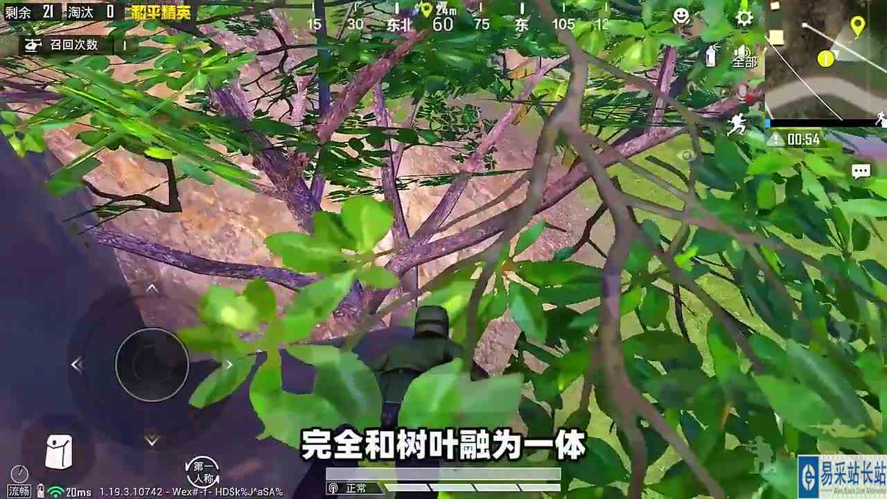 和平精英：度假岛隐藏神秘缝隙，藏在里面，可以苟到胜利吗？