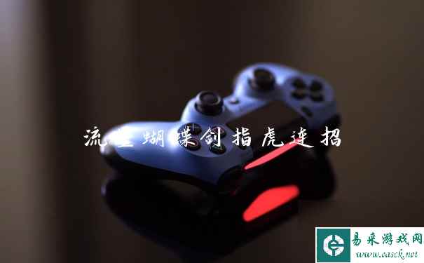 流星蝴蝶剑指虎连招