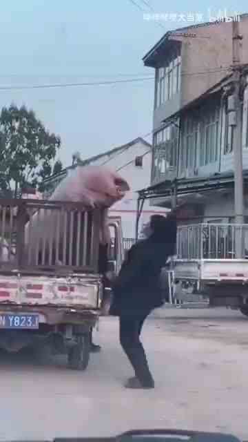 嗨嗨嗨！小飞棍来喽！1