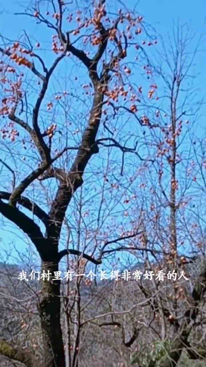 后来的后来！我发现我错了