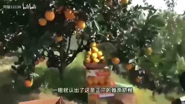 【阿毅12138】新作上线，快来看看！1