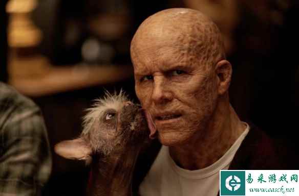 和爱宠培养一下感情《死侍3》新剧照曝光死侍狗！