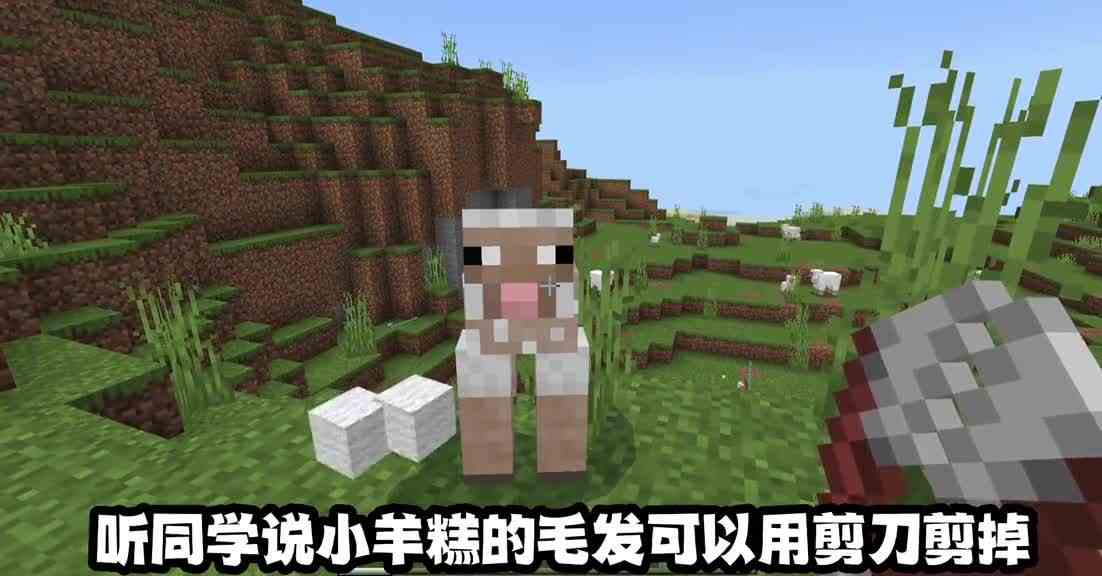 我的世界当老师来到我的世界