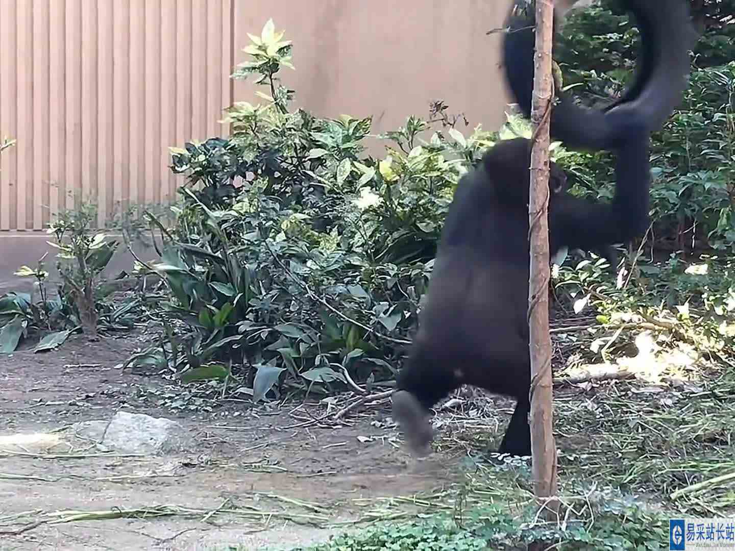 一个人也可以玩的很开心呀