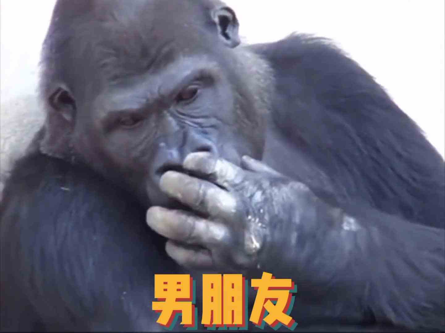 我又发现你在扣小零食啦