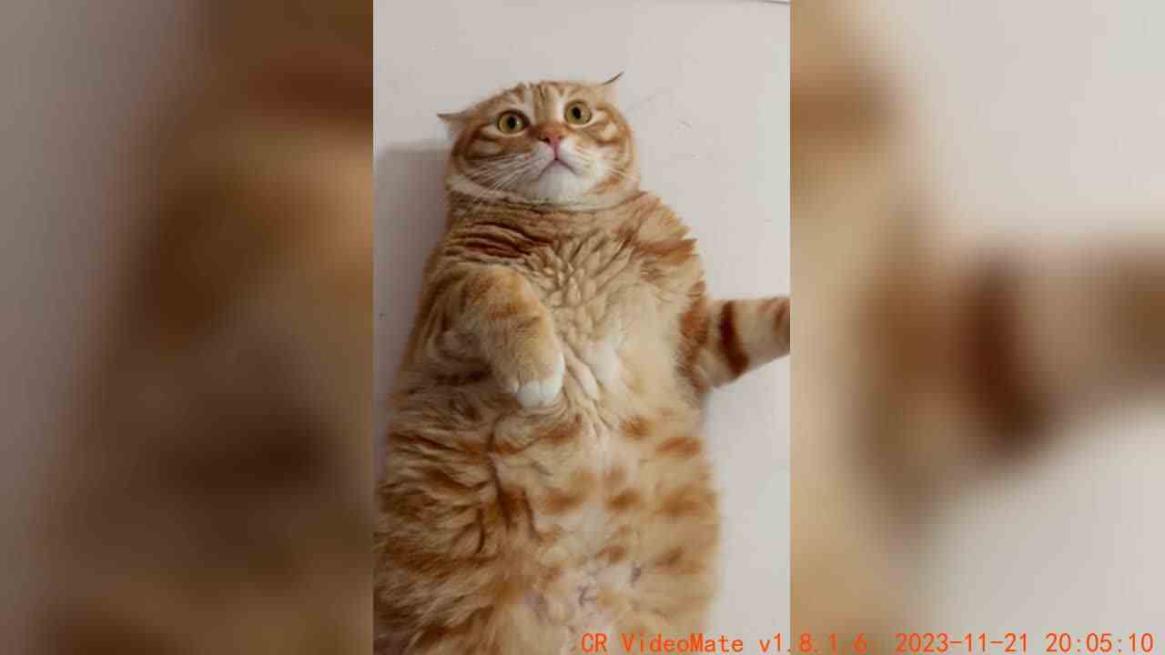 不让拍就不让拍呗还打人