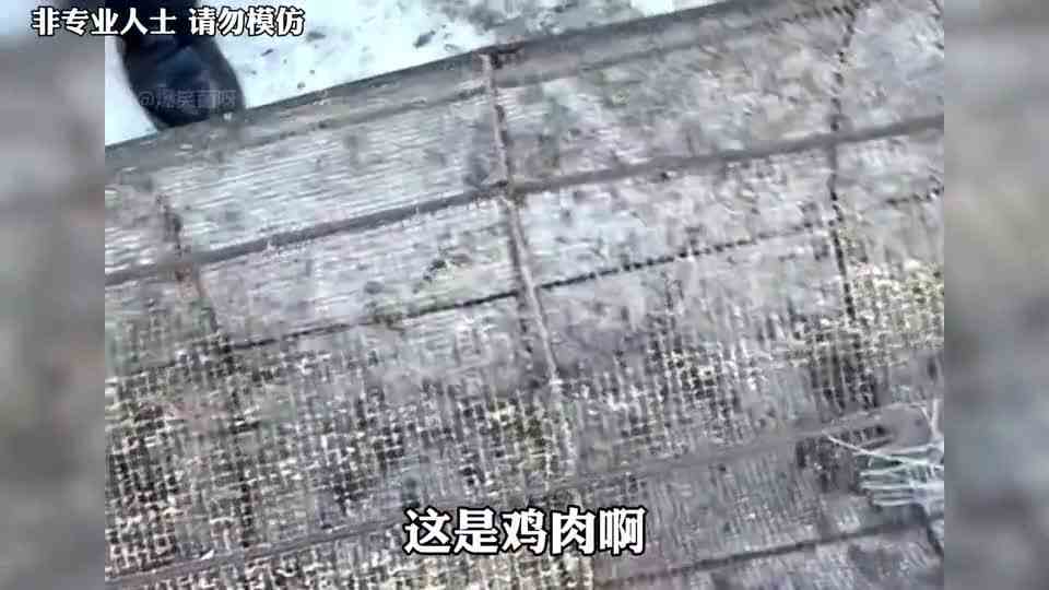 盘点爆米花干崩鸡失败名场面，鸡去哪里了？