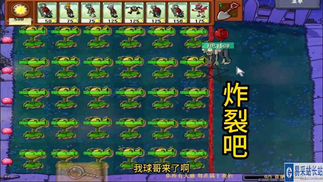 随机僵尸第162期：我球哥来了！#单机游戏 #植物大战僵尸