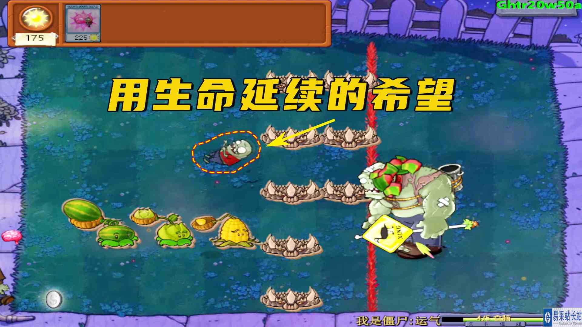 植物大战僵尸：用生命延续的希望，小鬼成为了光