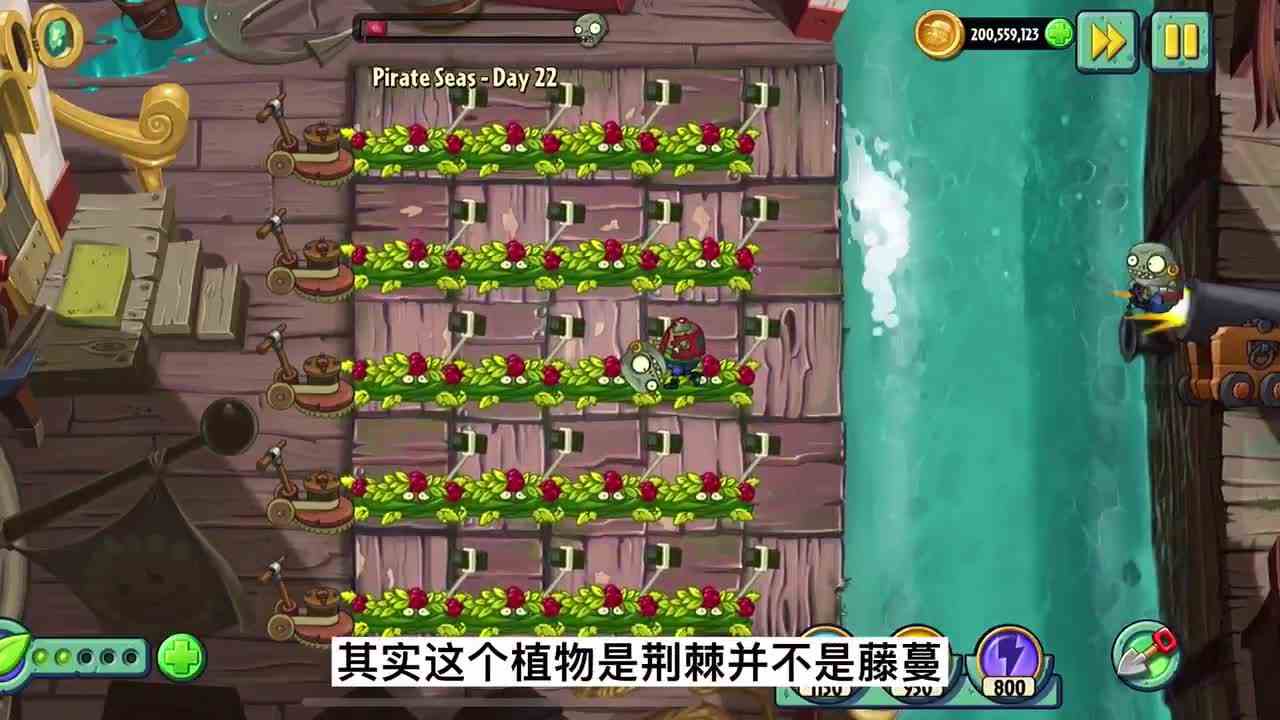 20元钱拿荆棘灌木！如芒刺背，势不可挡！