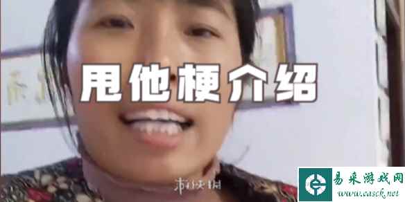 网1