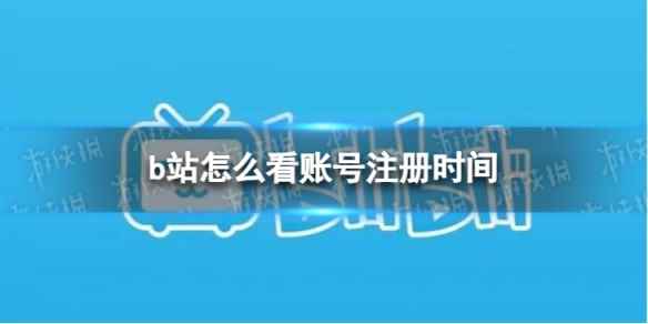 网1