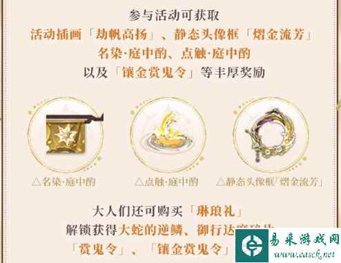 网5
