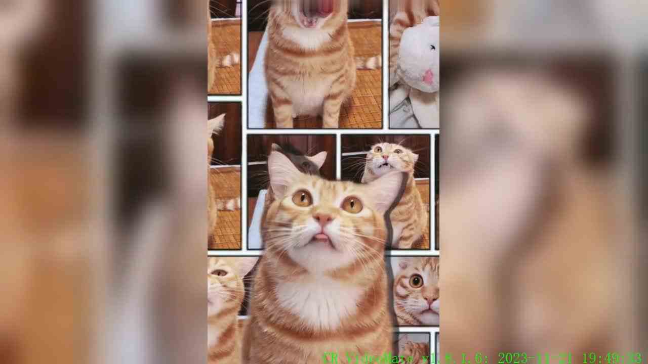 帅哥皮肤有点黄啊