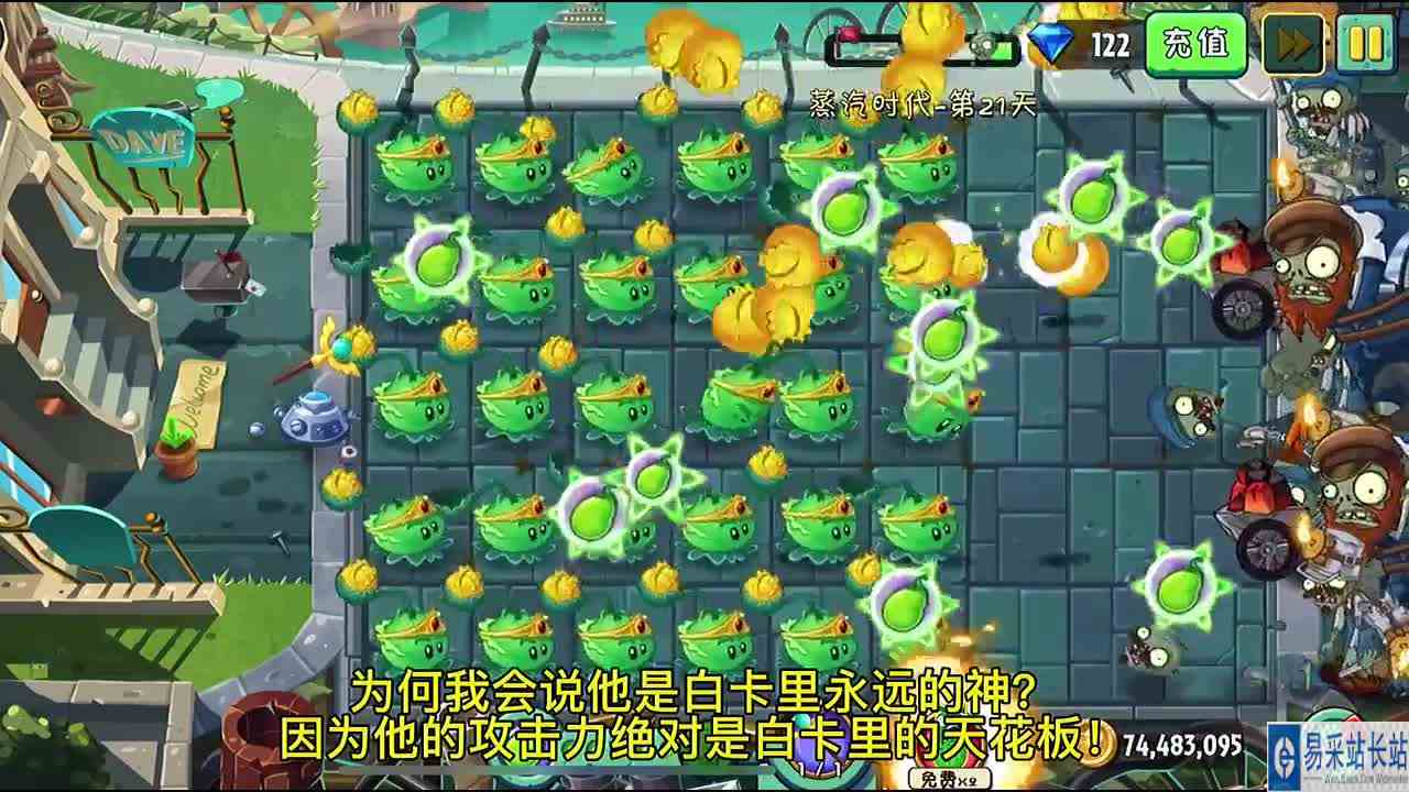 卷心菜历险记：变成卷心荚到底有多厉害？