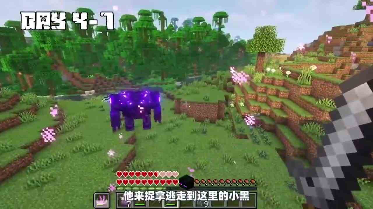 我的世界：小黑变强100天，成功击败潜影首领！